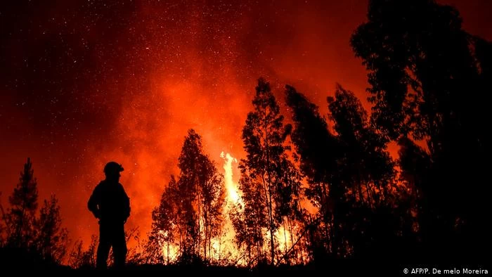 Συνεχίζεται η «κόλαση» φωτιάς στα Γκραν Κανάρια – Γιγαντιαία επιχείρηση γα την απομάκρυνση 8.000 κατοίκων – Δείτε βίντεο